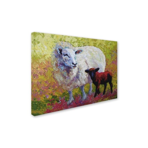 Marion Rose 'Moms Love Sheep' Canvas Art,18x24